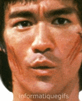 Gif animé Bruce Lee en plein combat
