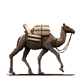 gif chameau qui porte des bagages