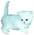 gif anime chat blanc mignon