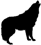 Clipart grand loup