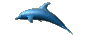 image gif dauphin qui nage dans l'eau