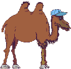 Animation gif chameau