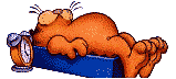 Garfield qui dort il est raide mort de fatigue