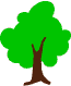 image arbre