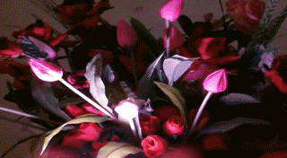 Bouquet de fleurs et compisition de fleurs