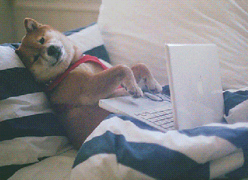 Site de rencontre gif