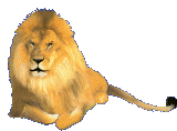 Bibliographie de lions dans LION 2