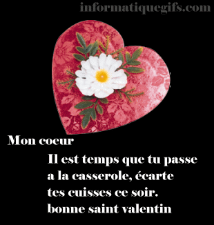 http://www.informatiquegifs.com/humour/saintvalentin/humour-1.gif