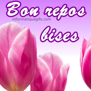 image de tulipe et message bon repos bises