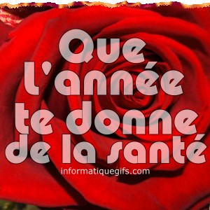 photo rose rouge nouvelle annee