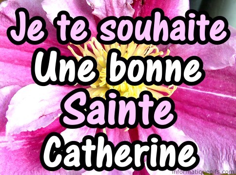 Sainte catherine