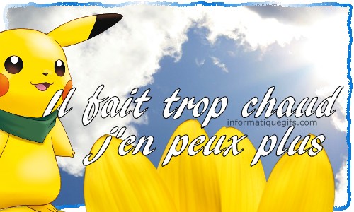 photo pokemon avec fleur jaune et beau temps