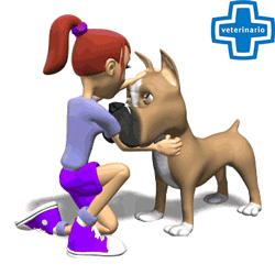 veterinaire qui soigne un chien en 3D