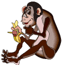 animation singe qui mange une banane