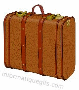 valise pour voyager en avion