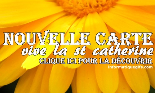 Carte Sainte Catherine 25 Novembre - Illustration Balade à Vélo Avec Chien - Fabriquée En France