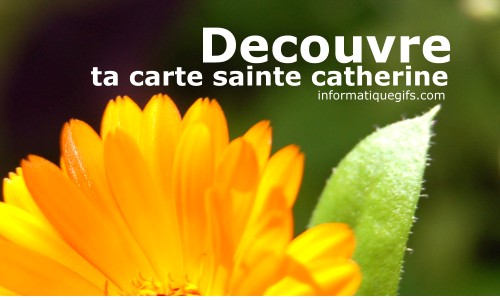 Bonne Fete Sainte Catherine Image Sainte Catherine Bonne Fete Sainte Catherine Image Sainte Catherine