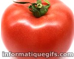 Gif anime tomate