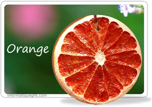 Photo végétale avec une orange