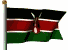 drapeau afrique