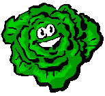 Gif salade frisée