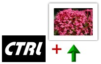 Touche CTRL et image