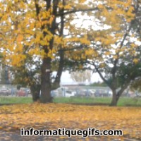 photo automne