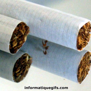 photo cigarette tabac