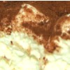 creme au chocolat