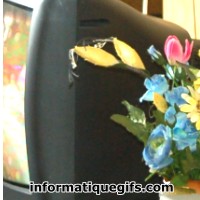 Television ancienne avec bouquet de fleurs