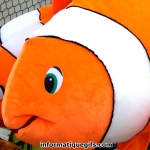 photo nemo poisson clown