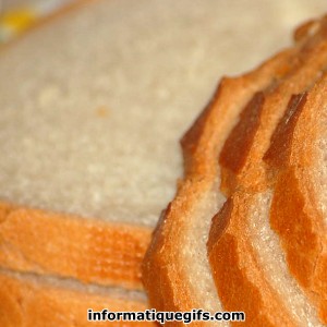 photo tartine en tranche