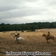 Image western et cheval
