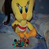 Photo tweety pie