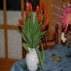 un pot blanc avec des tulipes