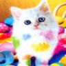 Un chaton avec pleins de petits coeurs