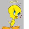 Photo tweety bird aureole