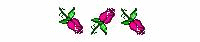 Une barre separatrice image fleurs