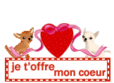 Blinkies je t'offre mon coeur