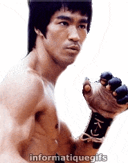 Gifs Bruce Lee Jeu de la mort