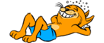 gif chat vacances