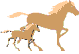 Des chevaux