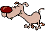 Gif cabot rigolo