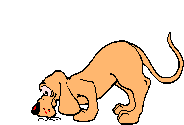 gif chien renifleur