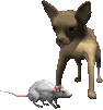 la petite chienne et sa souris