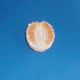 Gif anime clementine avec un fond bleu