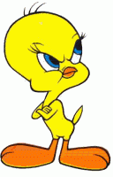 image titi tweety bird