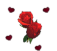 Gif rose rouge