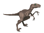 gif raptor