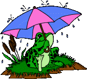 grenouille parapluie